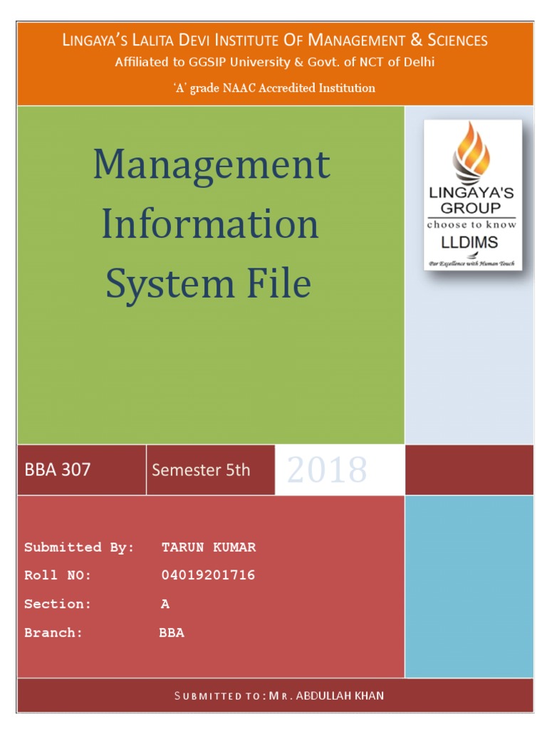 Management Information System | PDF | Software Development ...