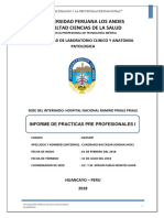 Informe de Practicas Pre Profesionales