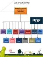 Estructura Comite ASP