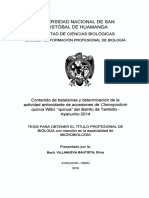 Tesis B733 - Vil PDF