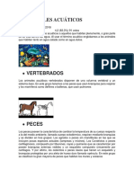 ANIMALES ACUÁTICOS.docx