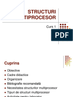 Structuri Multiprocesor: Curs 1