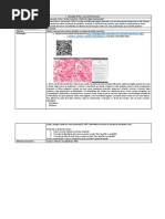 PLA - Aula 25 Fevereiro.docx