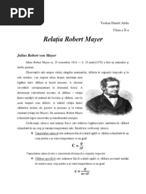 Relatia R Mayer Docx