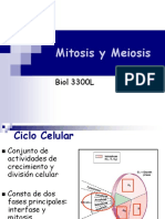 3 Mitosis y Meiosis (1)