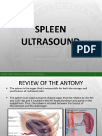 Ultrasound Spleen Guide