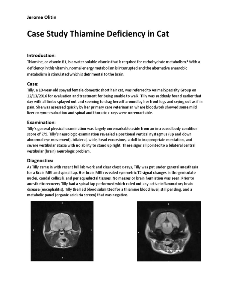 Case Study Thiamine Deficiency in Cat PDF Resonance