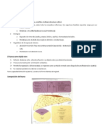 Fisiopatologia ósea.pdf