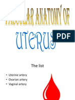 Vascular Anatomy of Uterus