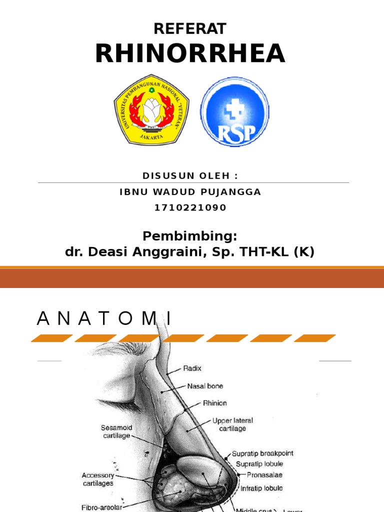 Etiologi dan Diagnosis Rhinorrhea | PDF