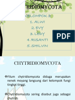 CHYTRIDIOMYCOTA