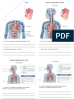 Ciencias Organos Del Cuerpo