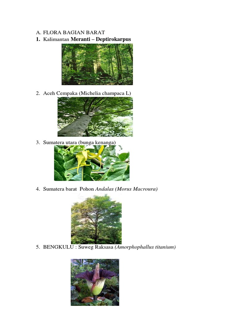 Makalah Flora Dan Fauna Indonesia Bagian | PDF
