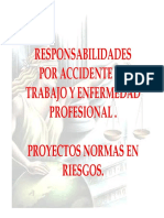 07 Responsablidad Civil en Riesgos Profesionales Minproteccion