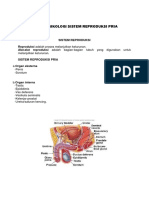 ANATOMI DAN FISIKOLOGI SISTEM REPRODUKSI PRIA.docx