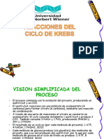 Seminario REACCIONES DEL CICLO_DE_KREBS SEMANA 3.pptx