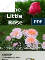 Rose Plant Demo