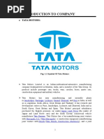 Introduction To Company: Tata Motors