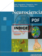neurociencia purves optimizado.pdf