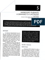 Psicopatologia adulto_Depressão durante a gravidez e lactação .pdf