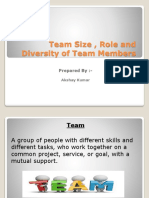 Team Size, Role and Diversity of Team