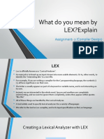 What Do You Mean by LEX2