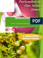 Sifat Jamur