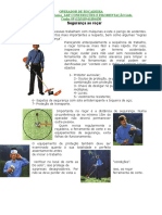 132796852-Treinamento-Para-Rocadeiras.pdf