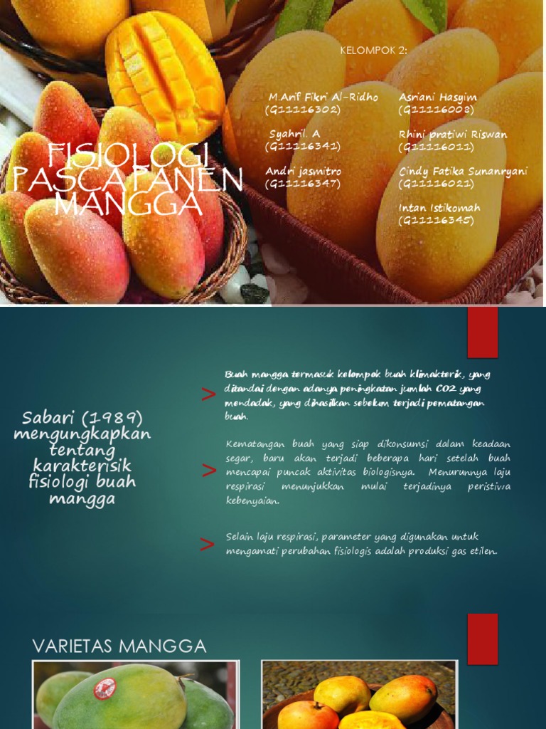 Mangga | PDF