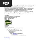 Download OKRA Jadi Sebutan Asing Di Daerah Jateng by xbagor SN40423511 doc pdf