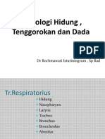 Radiologi Hidung, Tenggorokan Dan Dada