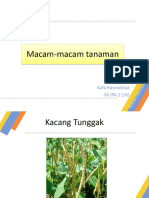 Macam-macam tanaman