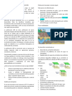 Perforación Infill