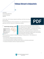 Dopamine_pathways.pdf