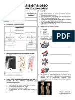 3978274-Taller-Sistema-Oseo.pdf