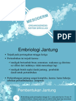 Pembentukan Jantung (Embriologi)