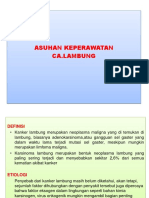 CA.LAMBUNG.pdf