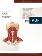 Axial Muscles PDF