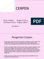 Cerpen