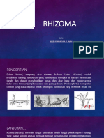 RHIZOMA