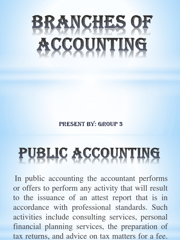 Public vs Private Accounting Roles PDF Accounting Audit