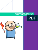Gluconeogénesis 2
