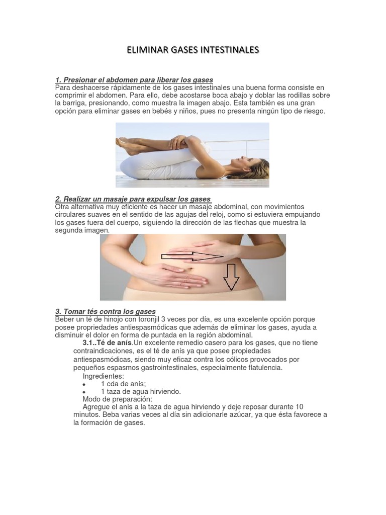 Eliminar Gases Intestinales PDF T Bebidas