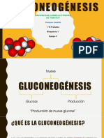 Gluconeogénesis