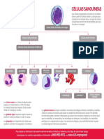 celulas sanguineas.pdf