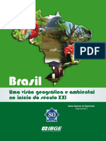 Brasil uma visão geográfica e ambiental no início do século XXI.pdf