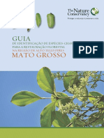 Guia MT PDF