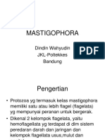 MASTIGOPHORA