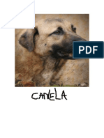 canela