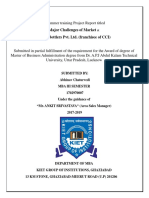 Abhinav Project Report PDF